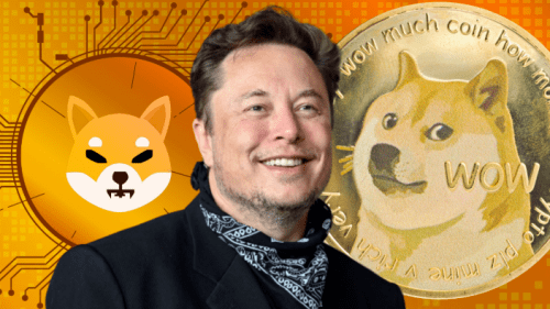 美国国际开发署或将效仿伊隆·马斯克领导的DOGE部门，采用区块链技术，创新合作引领新时代
