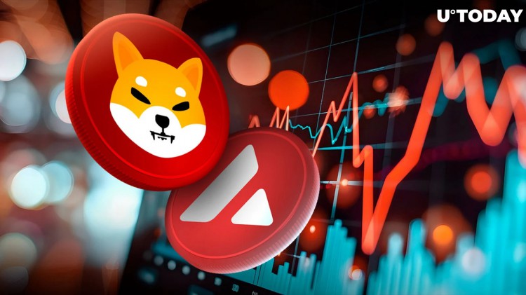 Shiba Inu交易量首次突破1B，Shiba Inu股价下跌