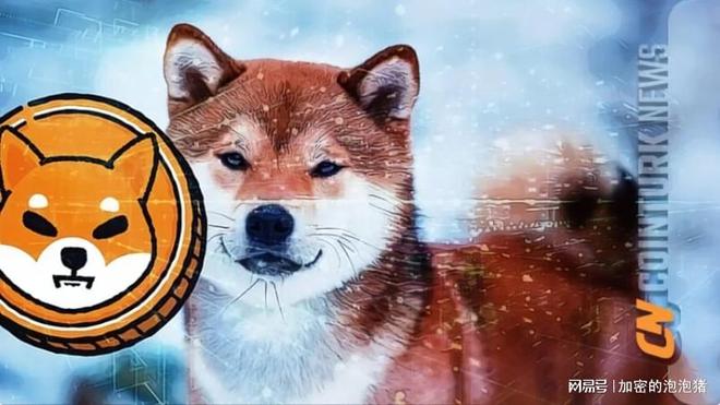 鲸鱼出售，燃烧速度放缓，柴犬价格暴跌