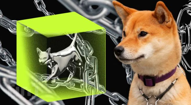 柴犬价格展望：双底格局预示反弹