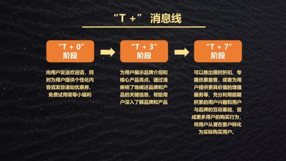 保险私域新径，以聊促信筑基的深度运营实践